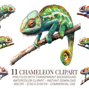 Watercolor Chameleon Clipart: Jungle Reptile PNGs (Digital Download)