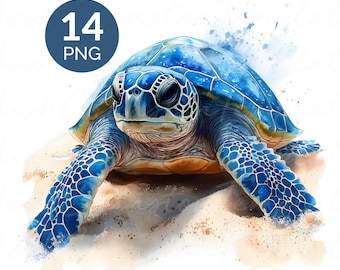 Sea Turtle Watercolor PNG Set