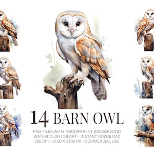 Clipartset kerkuil - 14 aquarel uilen op houten palen - elegante bosvogel-png's voor natuurkunst, natuurambachten en rustiek decor