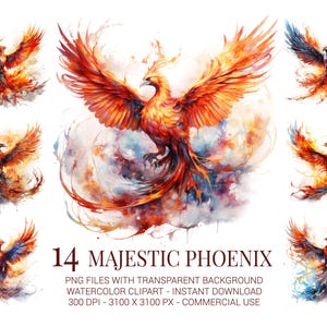 Ensemble de 14 cliparts phoenix majestueux, 14 illustrations aquarelles d'oiseau de feu, sublimation fantastique PNG pour chemises, affiches et travaux manuels