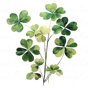 12 imágenes prediseñadas de trébol de acuarela, descarga digital del día de San Patricio, arte de trébol de cuatro hojas, ilustración botánica verde, descarga instantánea