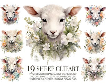 Sheep Clipart Bundle - 19 Watercolor Lamb PNGs with Soft Florals - Cute Baby Animals for Nursery Decor, Cards, Stickers & Baby Shower