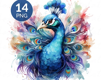 Watercolor Peacock Clipart PNG Set
