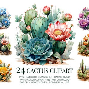 Set di clipart di cactus, 24 immagini PNG di cactus acquerellati colorati con fiori e piante grasse per decorazioni desertiche, artigianato boho, biglietti e stampe.
