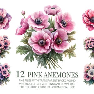 Pink Anemone Flowers Clipart Set, Elegant Watercolor Floral PNGs for Wedding Invitations, Cards, Sublimation & Spring Projects