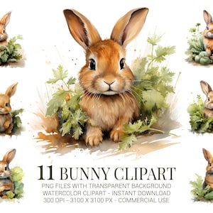 Ensemble de clipart lapin - 11 lapins aquarelles avec herbes et légumes - mignons lapins PNG pour travaux manuels de printemps, autocollants, art pour chambre d'enfant et plus