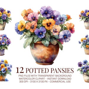 Potted Pansies Clipart Set, 12 Watercolor Flower Pots with Colorful Pansy Blooms for Spring Crafts, Sublimation & Garden Decor