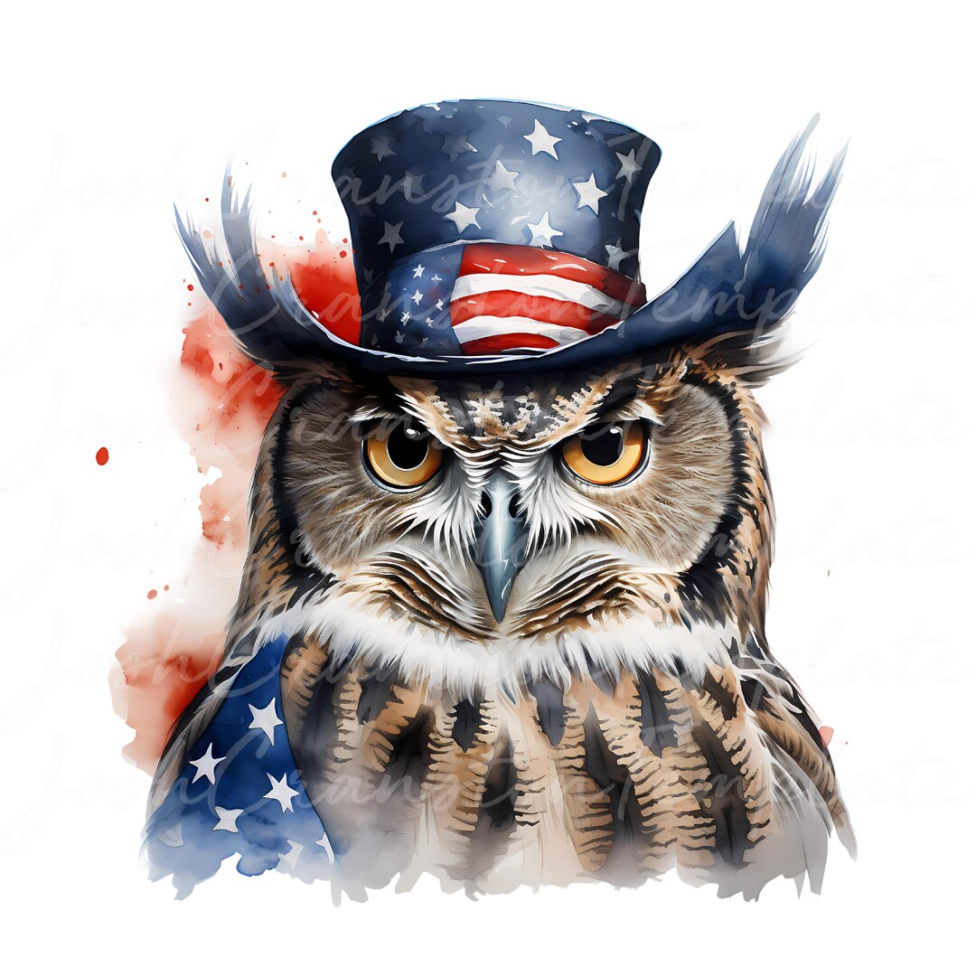Patriotic Owl Watercolor Clipart Bundle, USA Eagle Art PNG JPG (digital ...