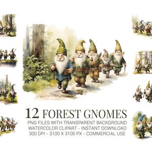 Set di clipart di gnomi della foresta - 12 gnomi acquerellati che camminano nei boschi in formato PNG - Personaggi fiabeschi stravaganti per lavoretti, biglietti e sublimazione