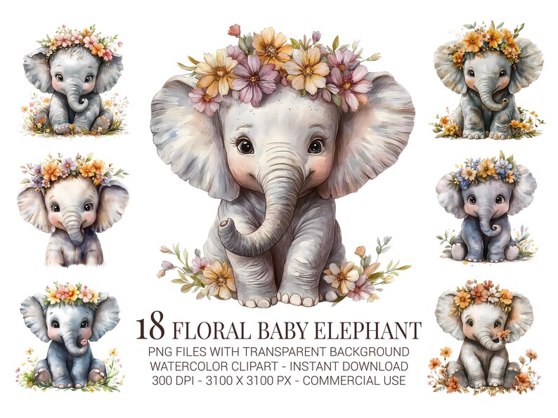 Watercolor Baby Elephant Clipart: Floral Safari Nursery Art (PNG ...