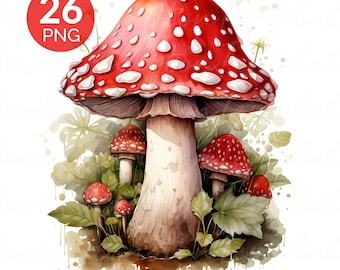 Seta roja venenosa acuarela PNG paquete