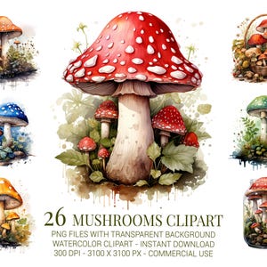 Bundle de cliparts aquarelle champignons, PNG de champignons forestiers avec fond transparent, art de champignons pour décoration d'automne, travaux manuels et autocollants
