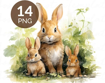 Clipart di coniglietti ad acquerello: 14 illustrazioni di conigli (download digitale)