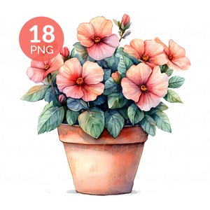 Watercolor Hibiscus Flower Pot PNG Bundle