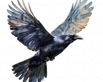Paquete de imágenes prediseñadas de cuervos en acuarela, arte de cuervos volando, PNG de naturaleza gótica (descarga digital)