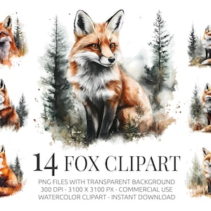 Set di clipart di volpi - 14 immagini PNG di volpi ad acquerello della foresta con sfondo trasparente - Clip art di animali del bosco per lavoretti e decorazioni naturalistiche