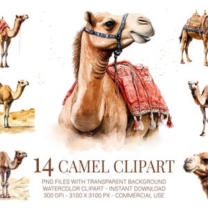 14 Camel Clipart PNG - Watercolor Camel Illustrations with Desert Vibes, Saddle Camel PNG for Sublimation, Boho Decor & Travel Art