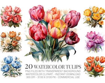 Watercolor Tulips Clipart: Spring Floral PNG Designs (Digital Download)