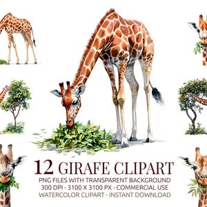 Bundle de cliparts girafe - 12 PNG aquarelles de girafes avec arbres et feuilles - clipart safari dans la jungle pour enfants, impressions et travaux manuels