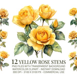 Yellow Rose Stems Clipart – 12 Watercolor Yellow Roses PNG Floral Clip Art for Wedding Invitations, Cards, Scrapbooking, DIY Projects