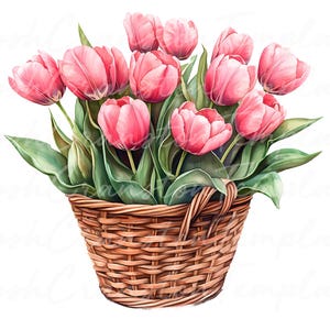 12 Watercolor Spring Tulip Basket Digital Clipart, Floral Clip Art for Scrapbooking, Tulip Flower Art Print, Spring Decor Download