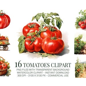 Lot de 16 cliparts tomates rouges aquarelles avec paniers, jus de fruits et plantes pour décoration de ferme, étiquettes de jardin et recettes