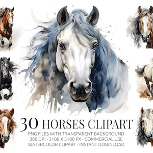 Watercolor Horses Clipart Bundle - 30 Wild Horse PNGs with Transparent Background - Galloping Horse Illustrations for Crafts & Decor