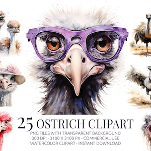 Ostrich Clipart Bundle - 25 Watercolor Avestruz Illustrations PNG - Funny Bird Clipart for Sublimation, Cards, Prints & Decor