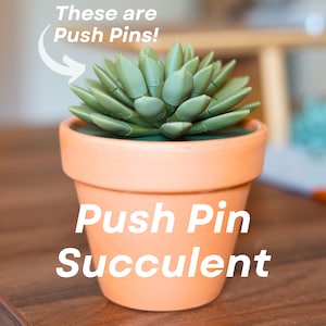 Push Pin Succulent | House Plant Push Pin Holder | Office Decor | Home Decor | Desk Organizer