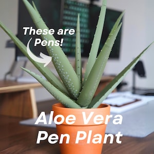 May include: A green aloe vera plant in a terracotta pot. The plant is made of pens and the pot has the text "Aloe Vera Pen Plant" on it.