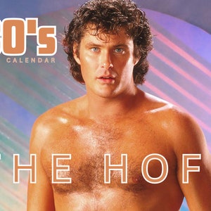 80's The Hoff 2024 Wall Calendar A4 digital download image 1