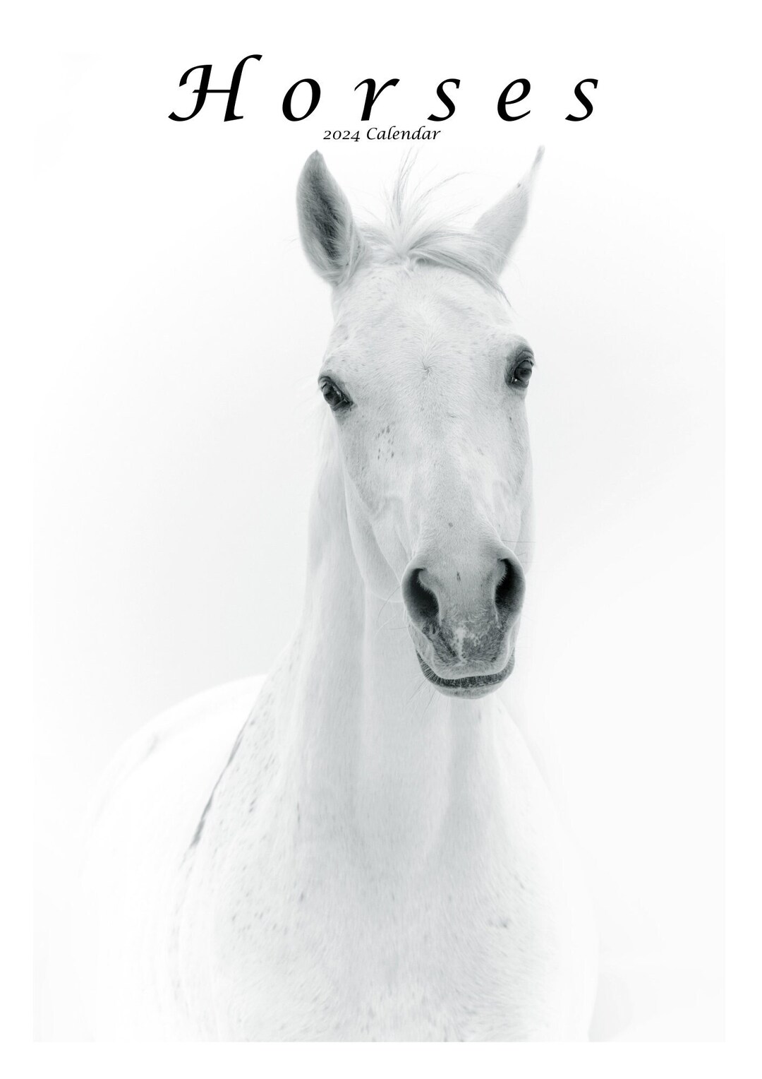 Horses 2024 Calendar digital Download Etsy
