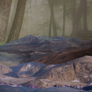 May include: A collage of images depicting a misty forest scene with tall trees and a layered mountain landscape. The mountains are a mix of brown, grey, and white, with hints of blue and green. The forest is a hazy green and brown, with the trees appearing tall and slender.