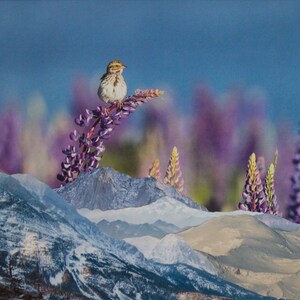 Lupine Peak