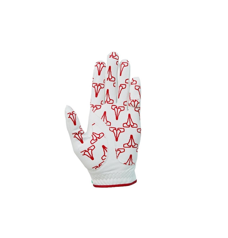 Left Handed Golf Glove