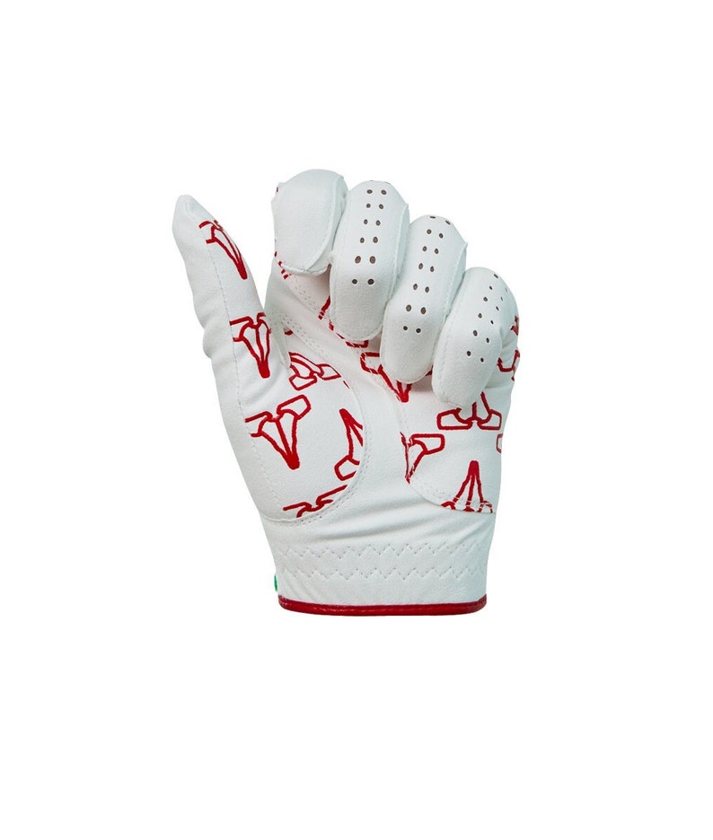 Left Handed Golf Glove