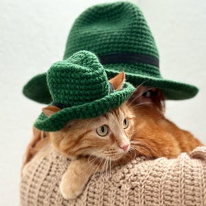 Hat for Cat/Dog