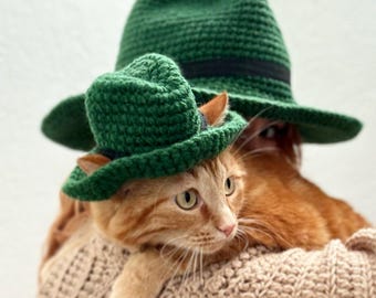 Hat for Cat