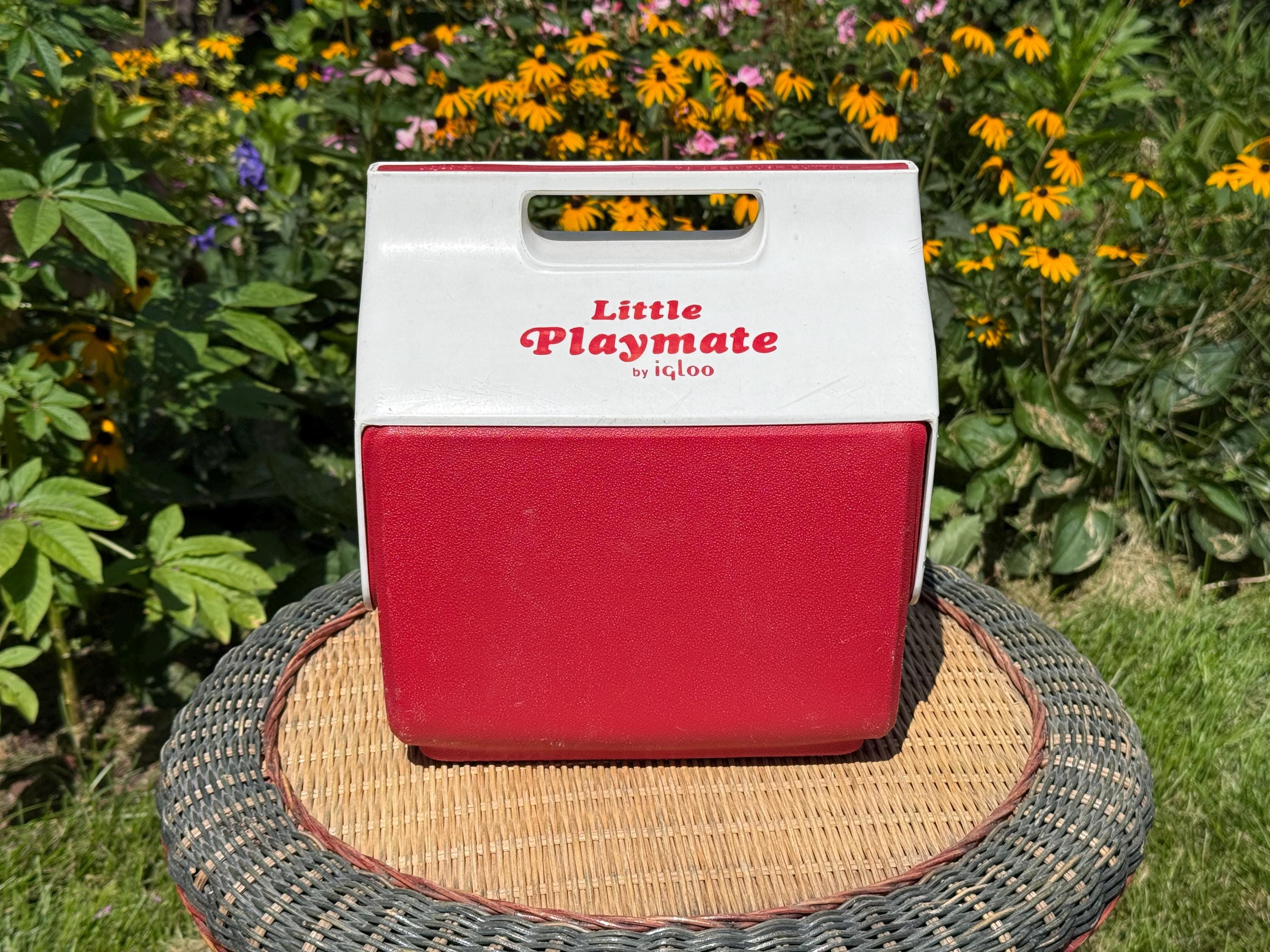 Lunchbox Cooler Vintage - Etsy
