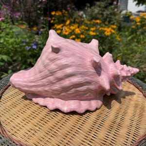 May include: A glossy, light pink ceramic conch shell sculpture featuring a textured, spiraled surface with prominent pointed protrusions along its body and a wide, fluted opening at the base, showcasing a smooth, glazed finish throughout the piece.