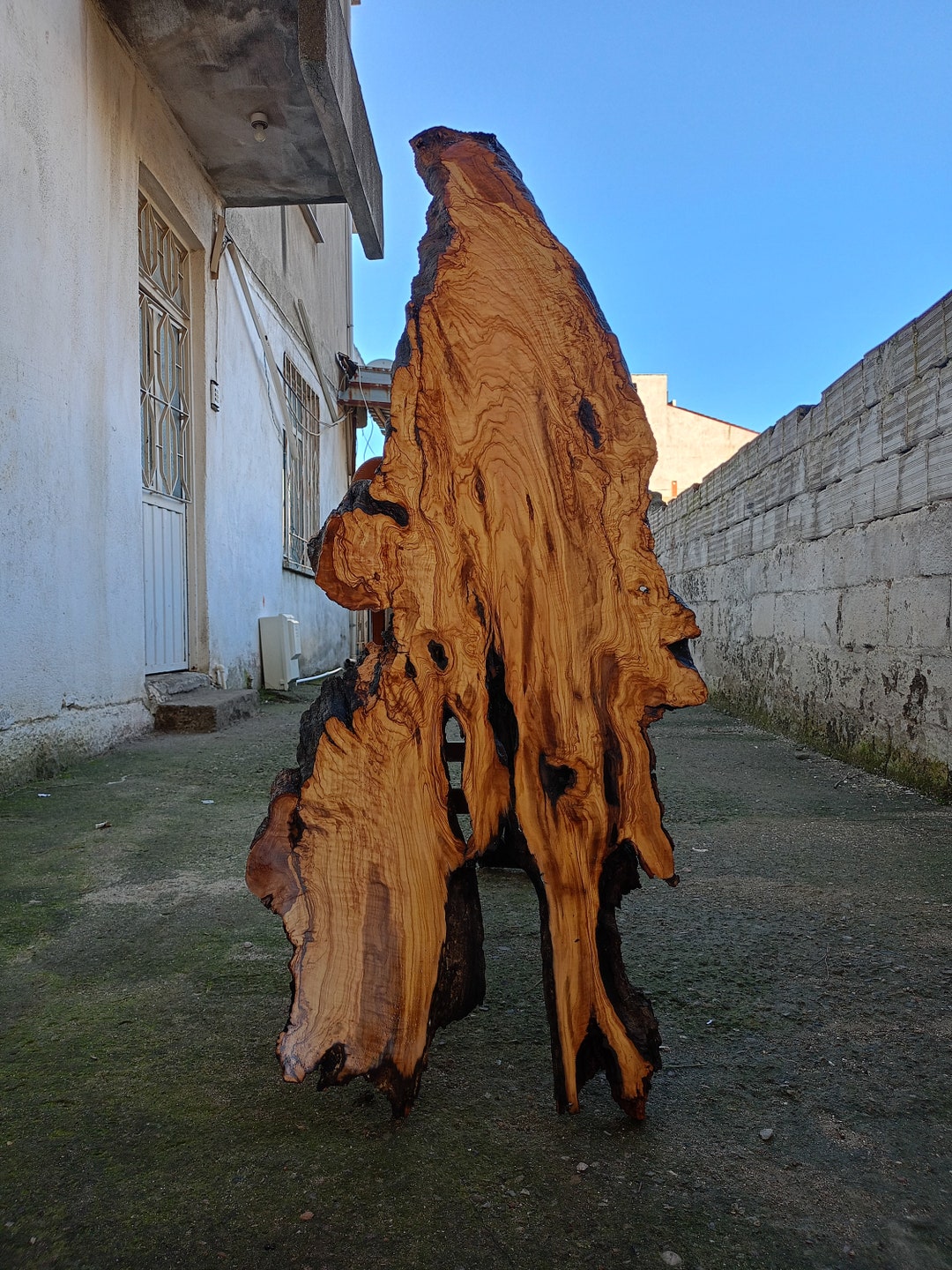 Live Edge Olive Wood Sheet , Olive Tree Root Cutting Board , Olive Wood