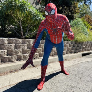 Könnte beinhalten: Ein Ganzkörper-Spiderman-Kostüm mit einem schwarzen Spinnennetz-Muster auf rotem und blauem Stoff. Der Anzug enthält eine passende Vollkopfmaske mit großen weißen Augenlinsen und einem schwarzen Spinnenemblem auf der Brust.