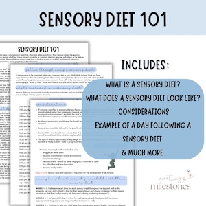 Sensorische Diet 101: Aktivitäten & Informationen (Digitaler Download)