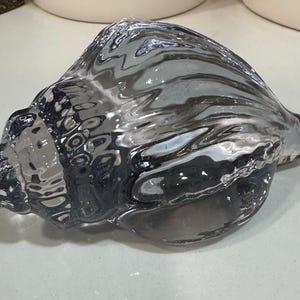 May include: A clear glass seashell sculpture with a textured surface. The shell is shaped like a conch and has a smooth, rounded opening.