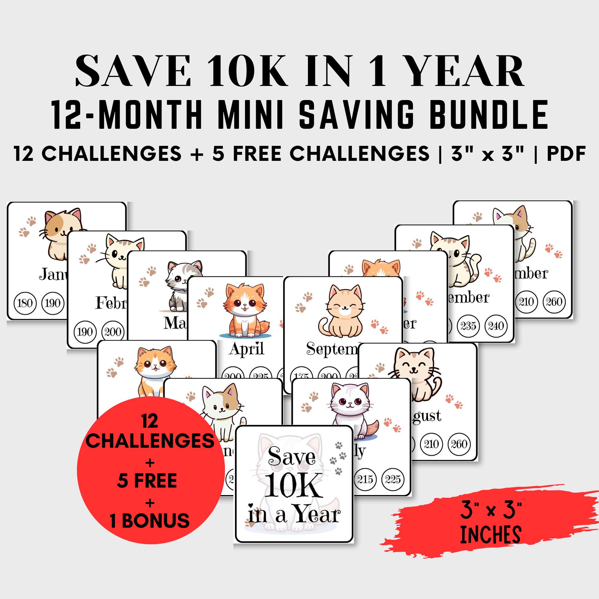 savings challeng 長方形 ねこ Nj_saving il_fullxfull.6420042229_kew8.jpg