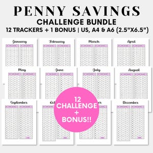 Bundel met Penny Savings-uitdaging, afdrukbare 365 dagen Penny-besparingsgrafiek, Besparen laag inkomen, 1 jaar geldbesparingsuitdaging, maandelijkse minibesparing