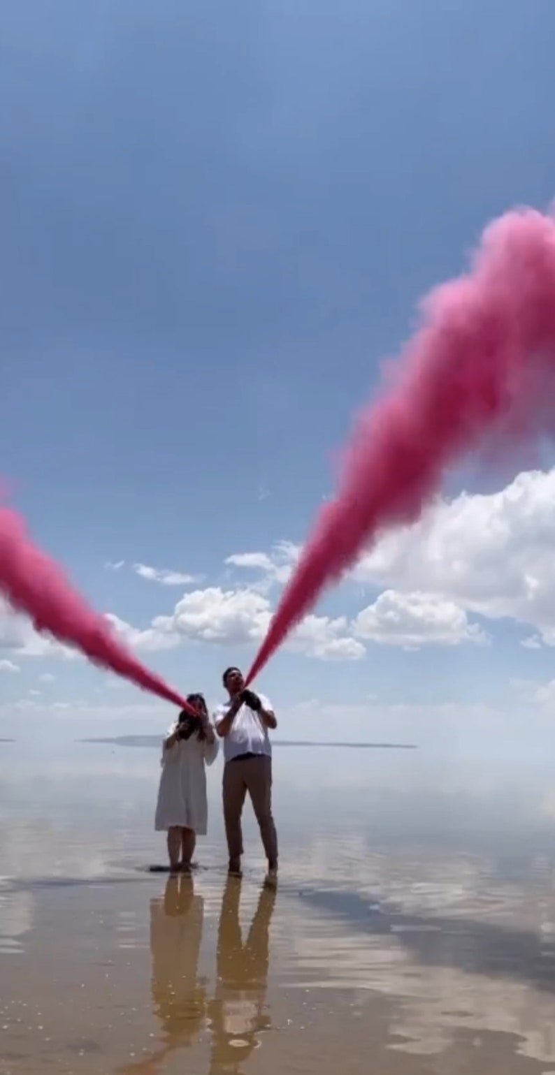 Baby Gender Reveal Spray Fire Extinguisher Paint Can Boy or Etsy