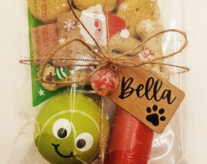 Mini Christmas Dog Gift Bundle Personalised Dog Gift Doggy Stocking