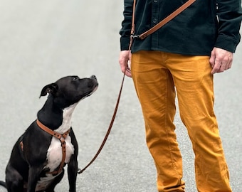 Waterproof 3-way Handsfree Leash, Custom Length Over the Shoulder Biothane Lead