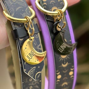 Puede incluir: Dos collares para perros con detalles dorados y patrones de luna y estrellas en negro y dorado. Un collar es lavanda y el otro beige. Los collares tienen dijes dorados a juego con los nombres "June" y "Luna" en ellos.